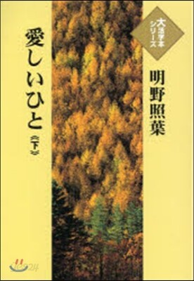 愛しいひと 下