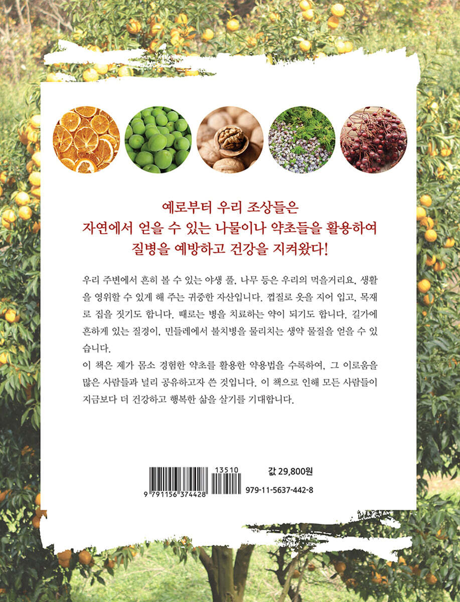 우리 주변에서 만날 수 있는 야생 풀·나무 약초 도감 - 예스24