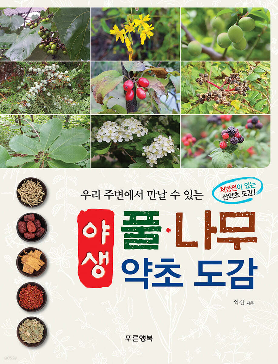 우리 주변에서 만날 수 있는 야생 풀·나무 약초 도감