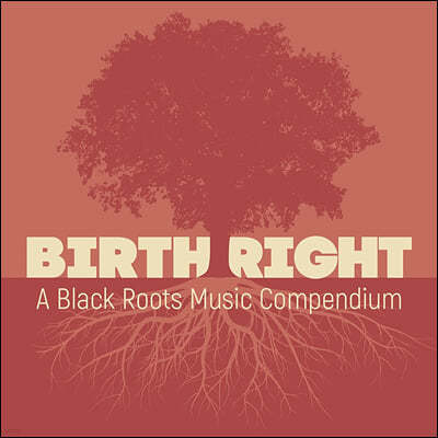 ̱  Ʈ  ʷ̼ (Birthright: A Black Roots Music Compendium)