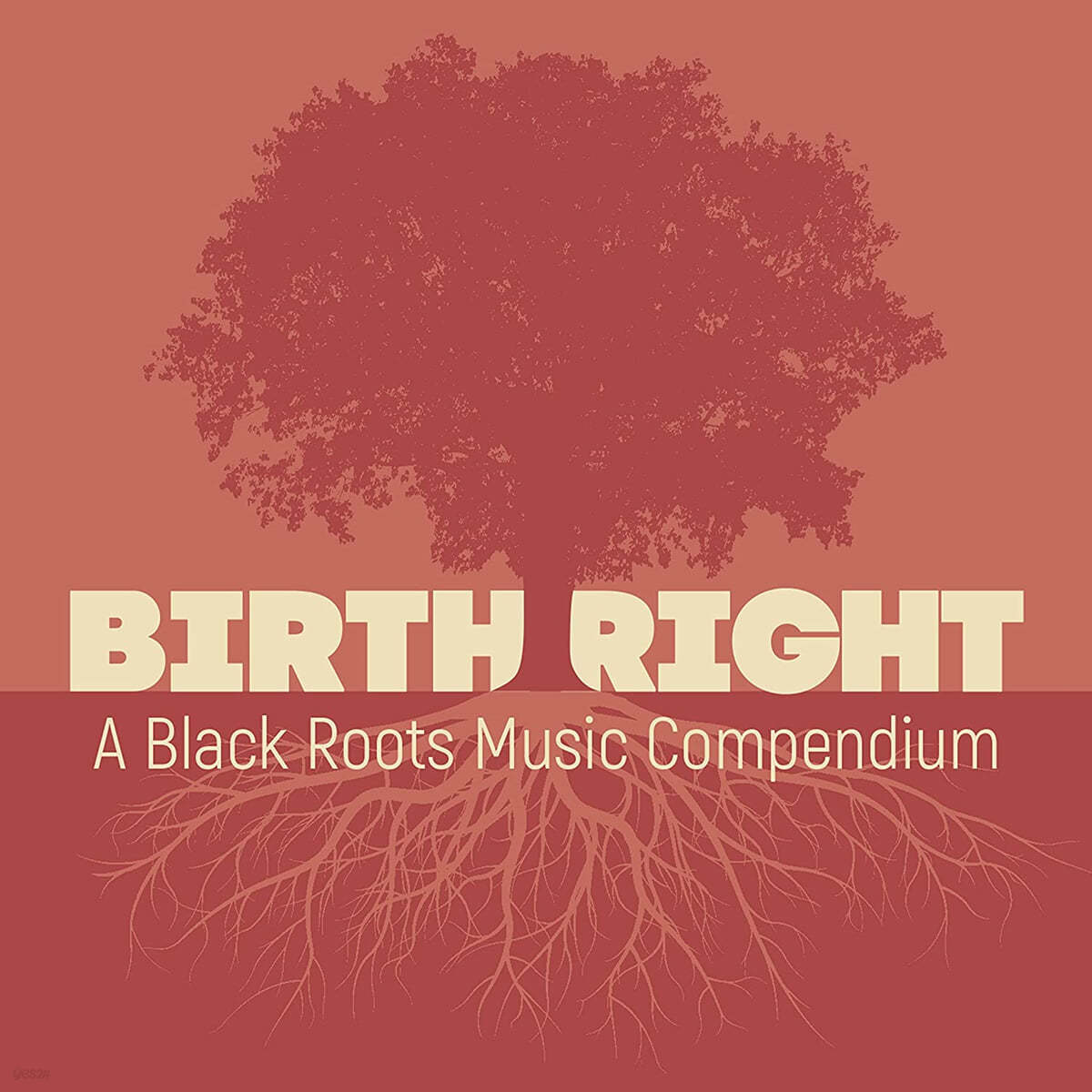 미국 블랙 루트 음악 컴필레이션 (Birthright: A Black Roots Music Compendium)