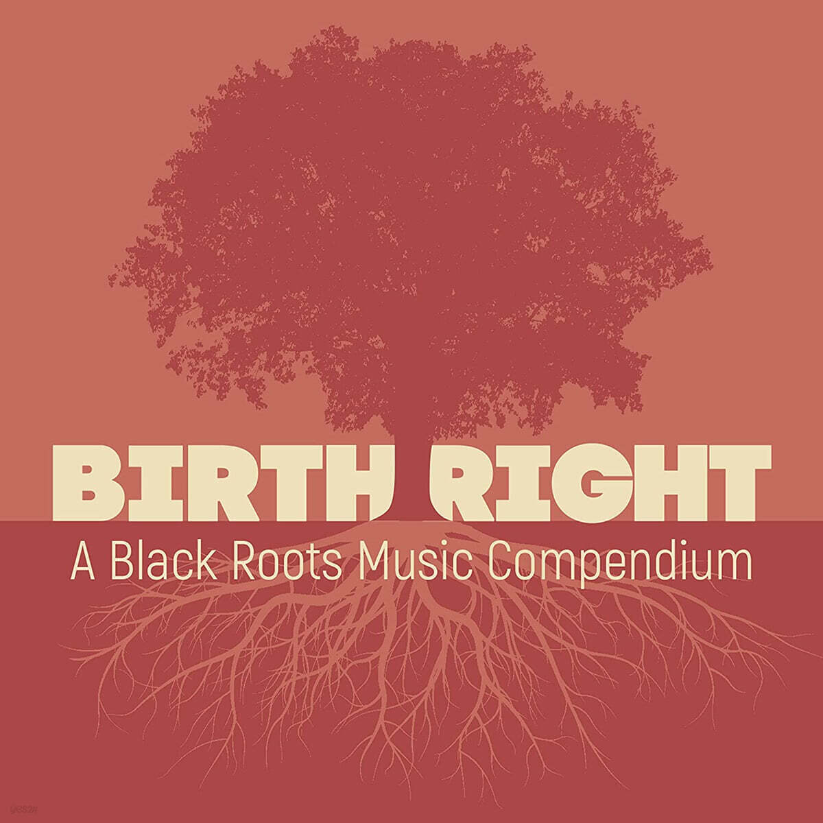 미국 블랙 루트 음악 컴필레이션 (Birthright: A Black Roots Music Compendium)