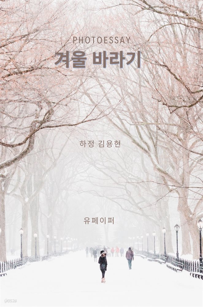 photoessay 겨울 바라기
