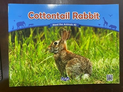 Meet the Animals 40 - Cottontail Rabbit