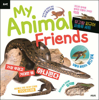 뮤고랑 My Animal Friends 파충류