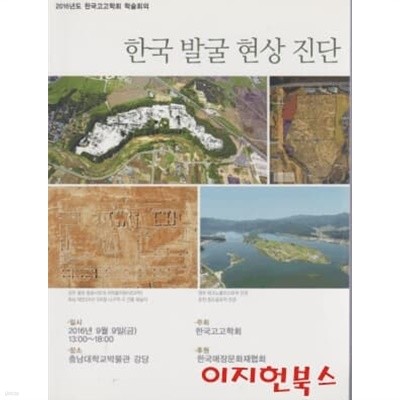 한국 발굴 현상 진단