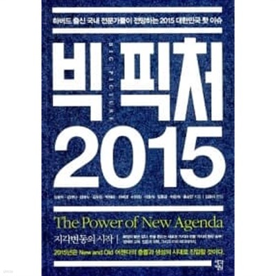 빅 픽처 2015★