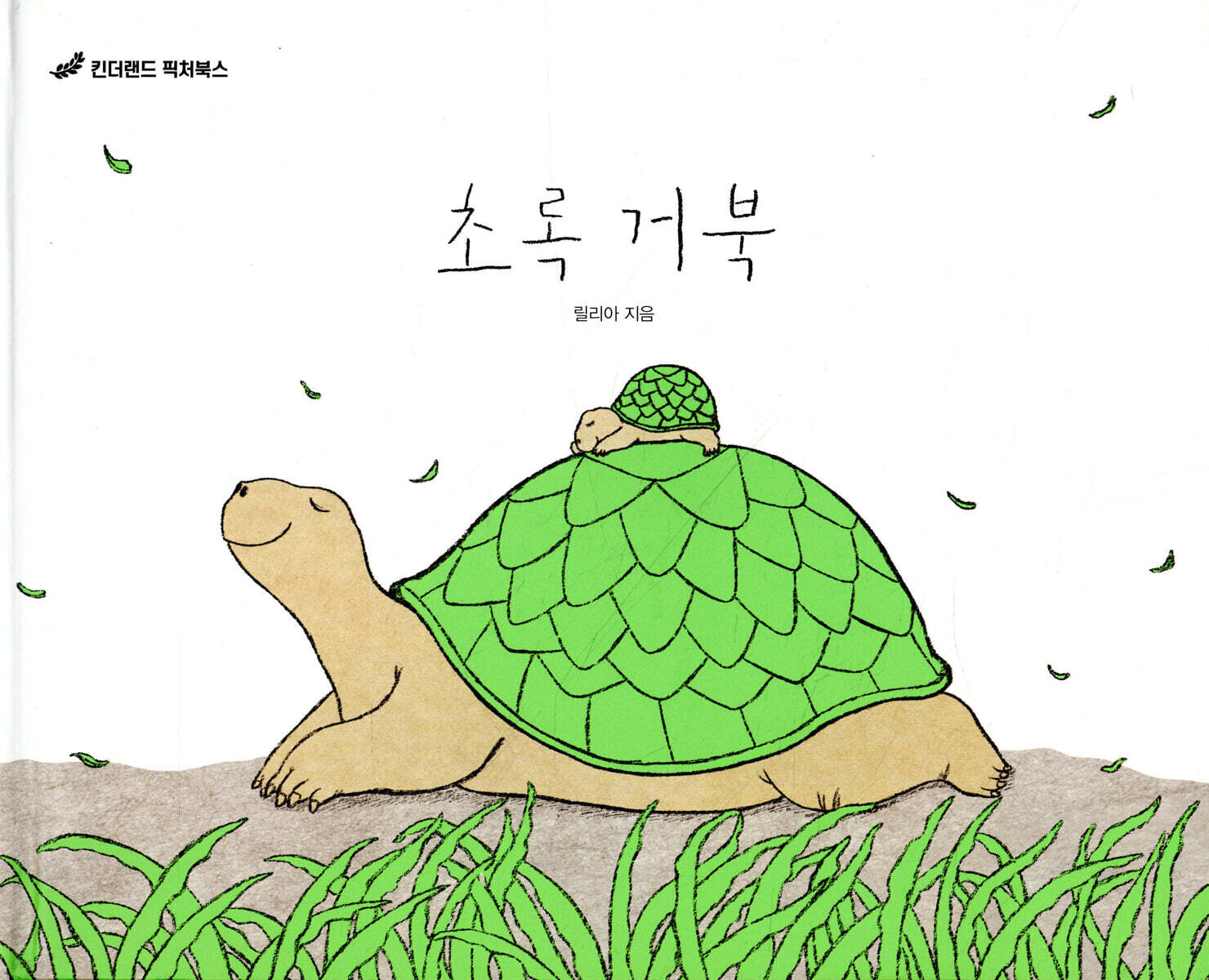 초록 거북