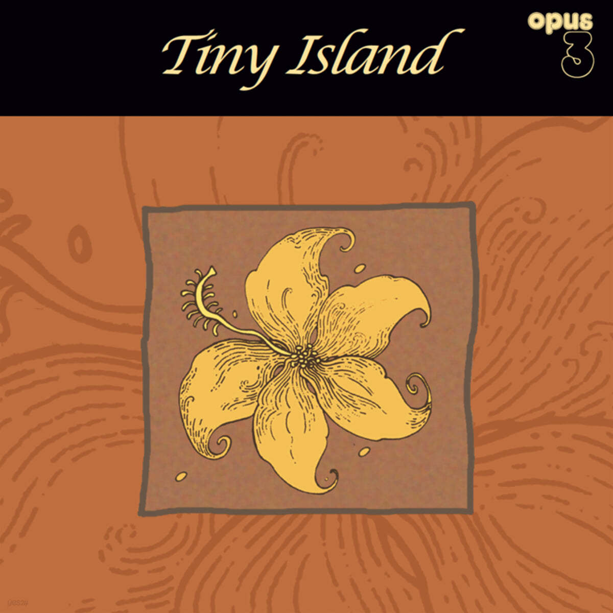 Tiny Island (타이니 아일랜드) - Tiny Island [2LP]