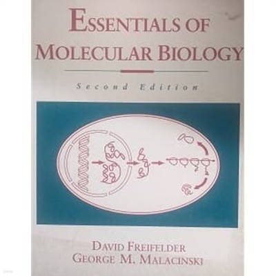 Essent of Molecular Biology 2/E