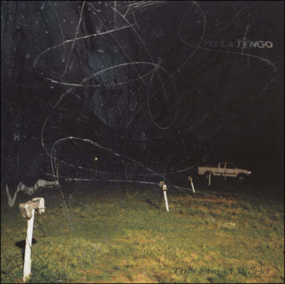 Yo La Tengo — This Stupid World 앨범 커버