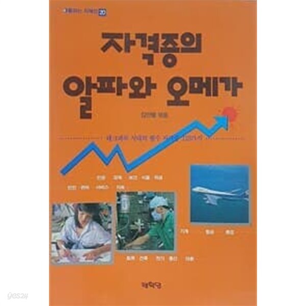 자격증의 알파와 오메가 - YES24