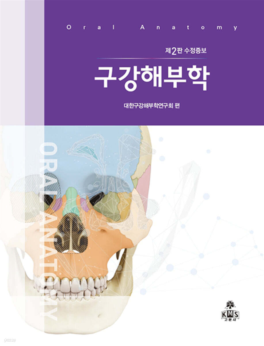 구강해부학