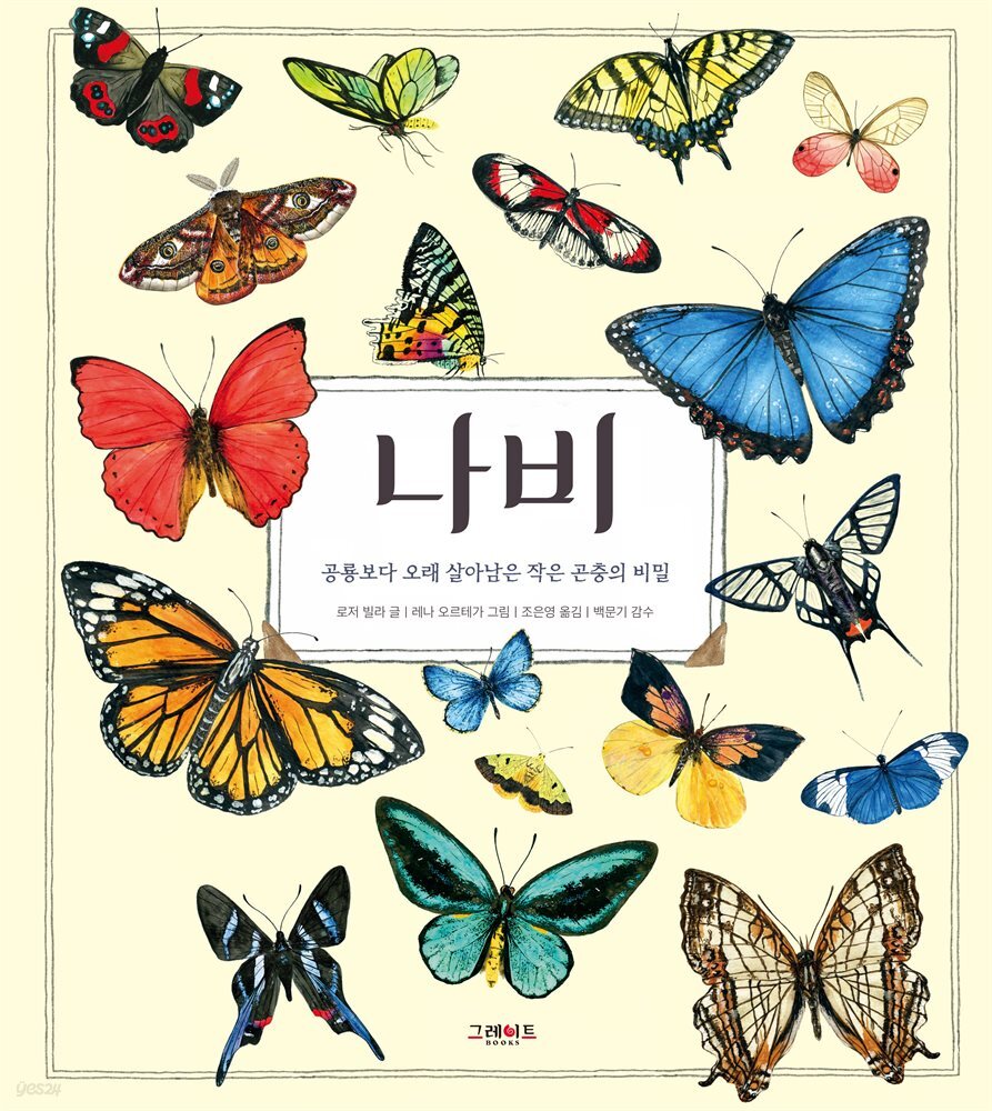나비
