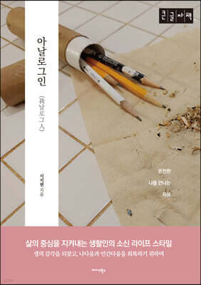 아날로그인 (큰글자책)