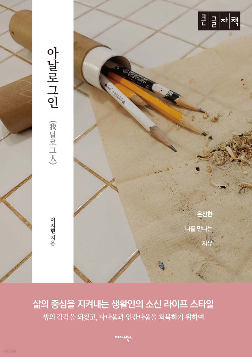아날로그인 (큰글자책)