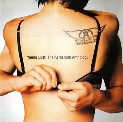 [Ϻ] Aerosmith - Young Lust : The Aerosmith Anthology (2CD)