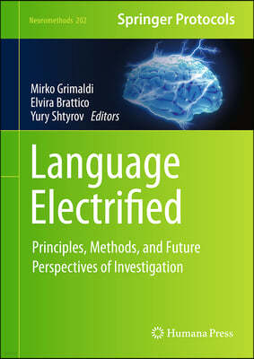 Language Electrified: Principles, Methods, and Future Perspectives of Investigation