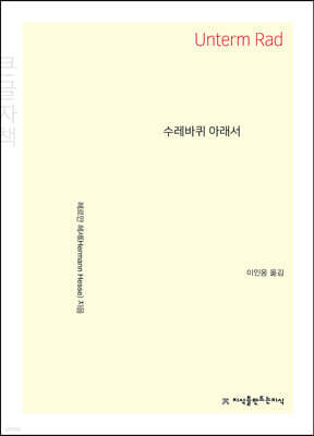 수레바퀴 아래서 (큰글자책)