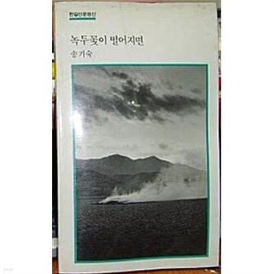 녹두꽃이 떨어지면 [송기숙 / 한길사 / 1985 초판]