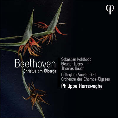 Philippe Herreweghe 베토벤: 감람산의 그리스도 - 필립 헤레베헤 (Beethoven: Christus am Olberge)