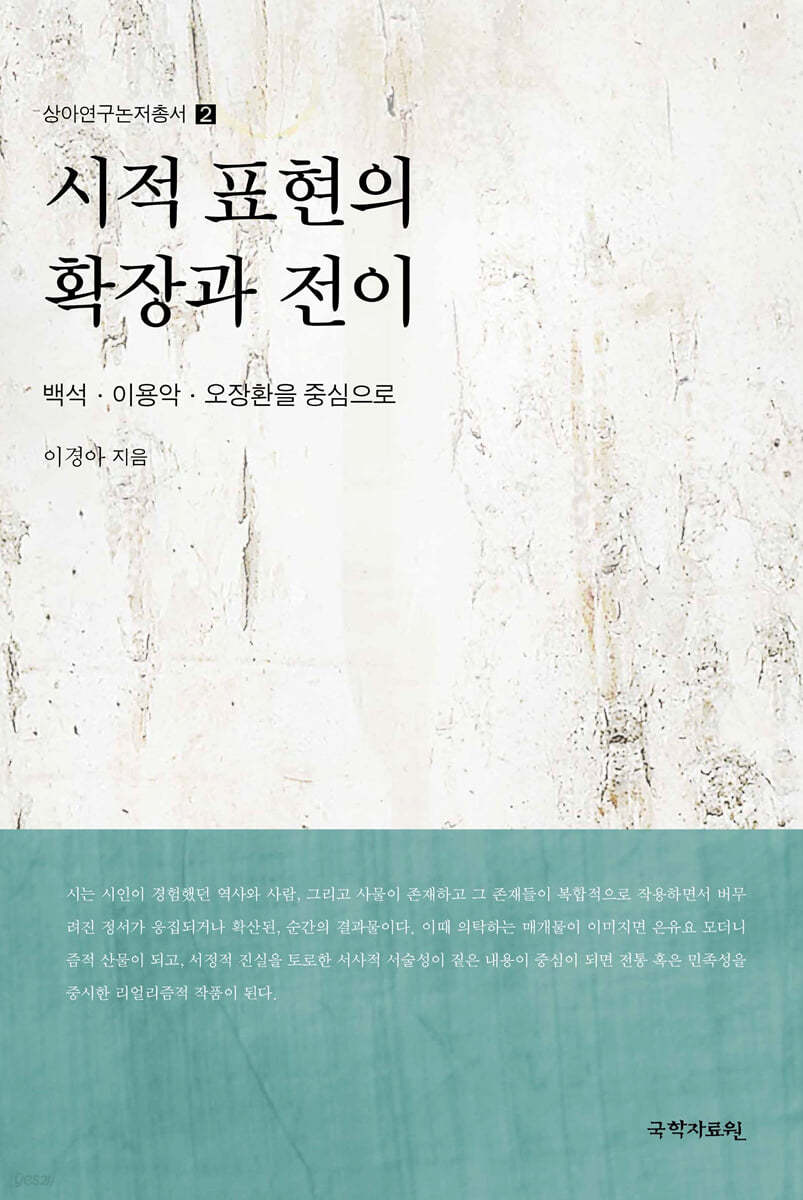시적 표현의 확장과 전이