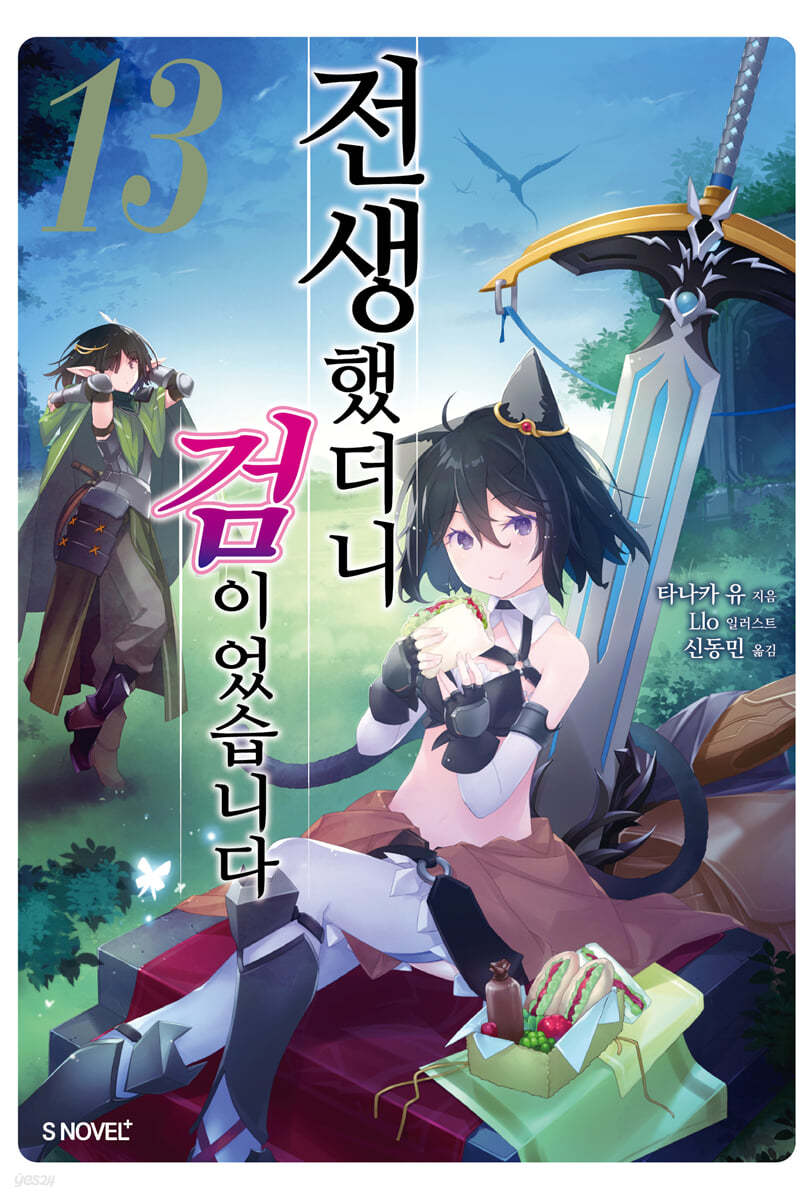 전생했더니 검이었습니다 13