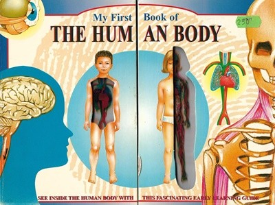 My First Book of  THE HUMAN BODY (보드북)