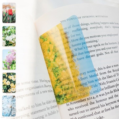 꽃의 향연 투명 책갈피 북마크 (2개1세트)