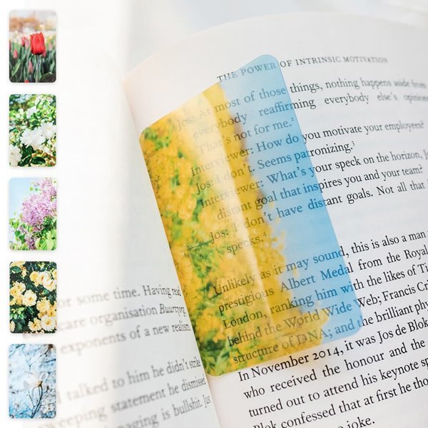 꽃의 향연 투명 책갈피 북마크 (2개1세트)