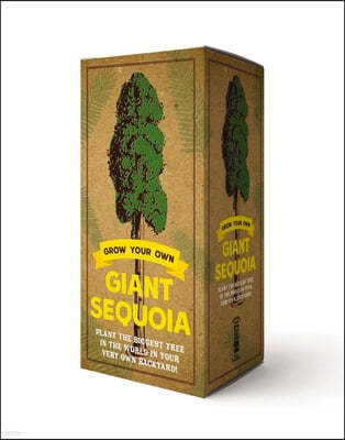 The Grow Your Own Giant Sequoia Kit