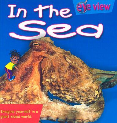 Eye View in the Sea