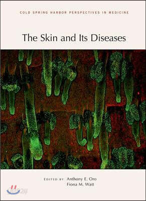 The Skin and Its Diseases