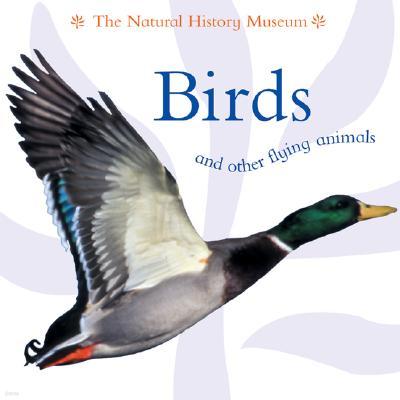 Birds and Other Flying Animals