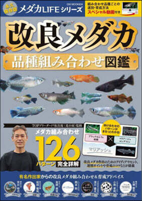 改良メダカ品種組み合わせ圖鑑