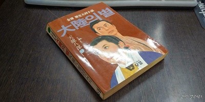 대륙의 별 10권 (실사진 첨부/ 상품설명 참조)중고책갤러리