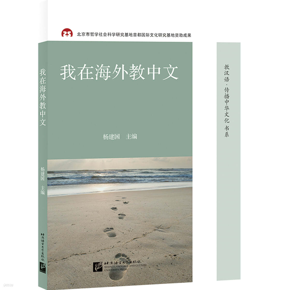 나는 해외에서 중국어를 가르친다 我在海外?中文 ?漢語&#183;傳播中華文化書系 아재해외교중문