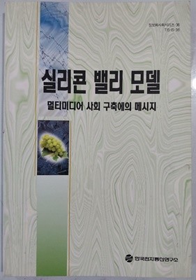 실리콘 밸리 모델 - 멀티미디어 사회 구축에의 메시지