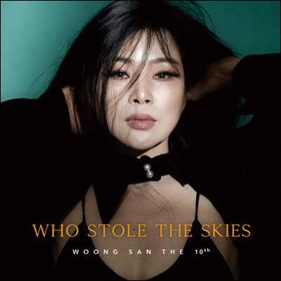 웅산 - 10집 Who Stole the Skies [LP+7인치 Vinyl] 