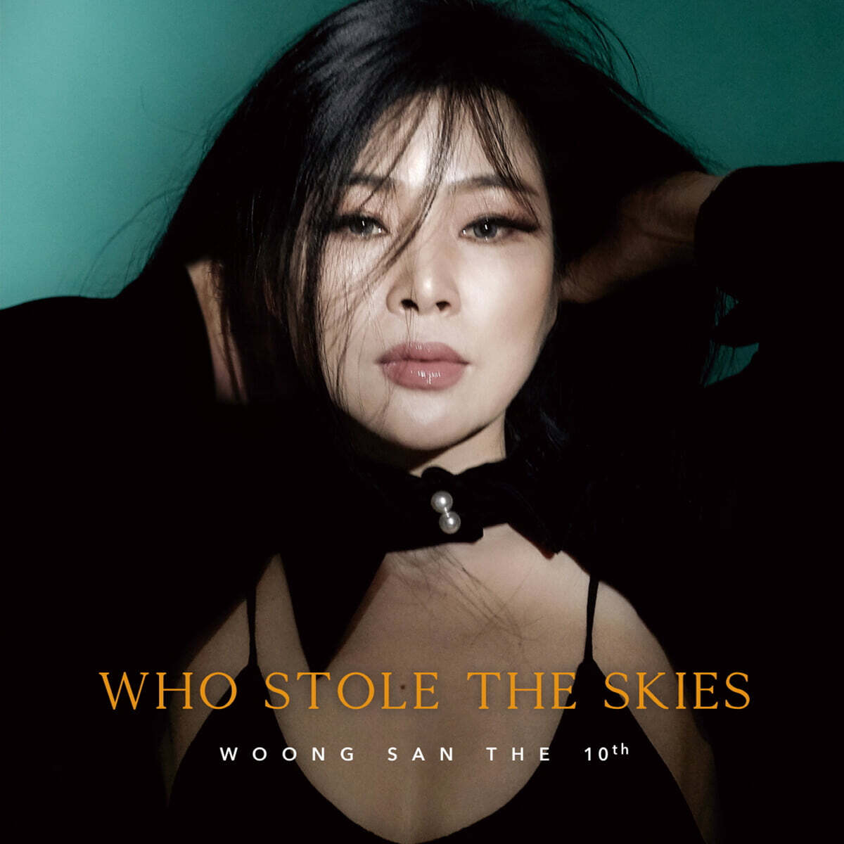 웅산 - 10집 Who Stole the Skies [LP+7인치 Vinyl]