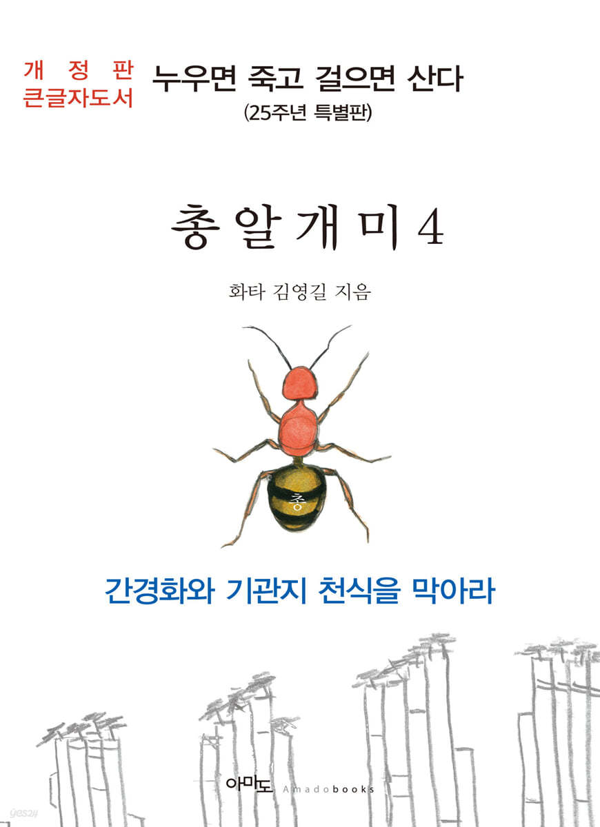 총알개미 4 큰글자도서