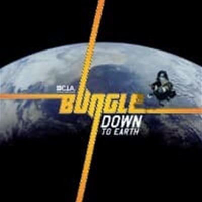 Bungle / Down To Earth ()