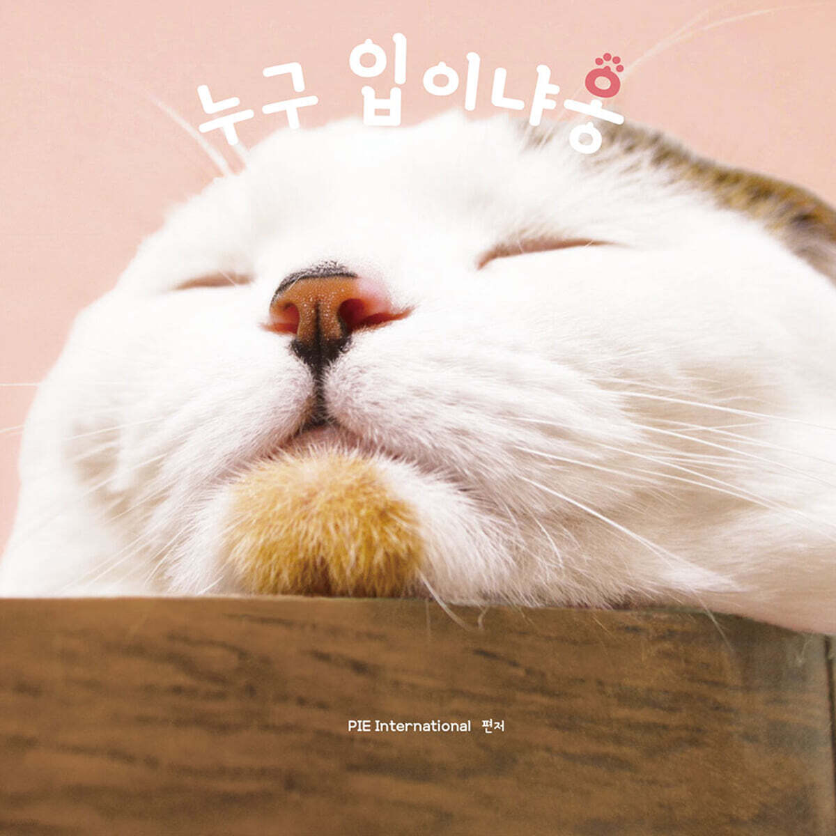 누구 입이냐옹