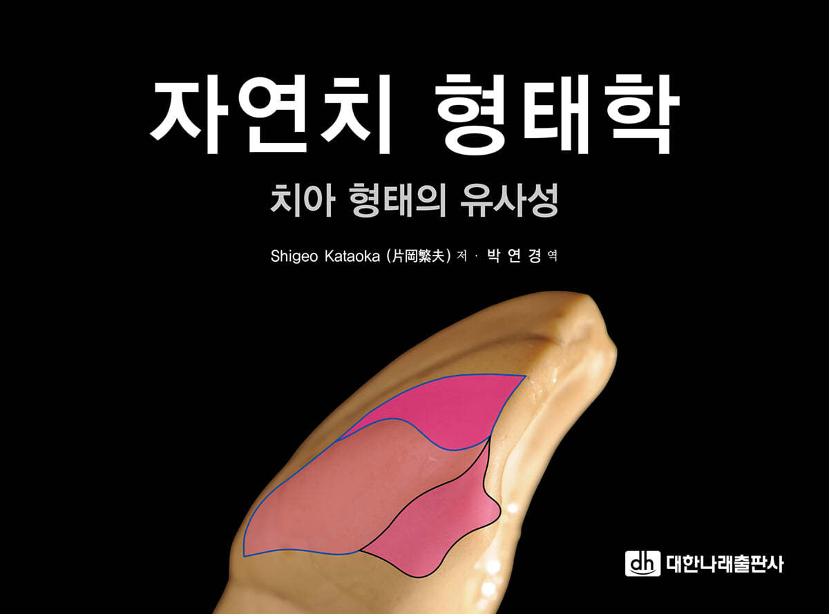 자연치 형태학
