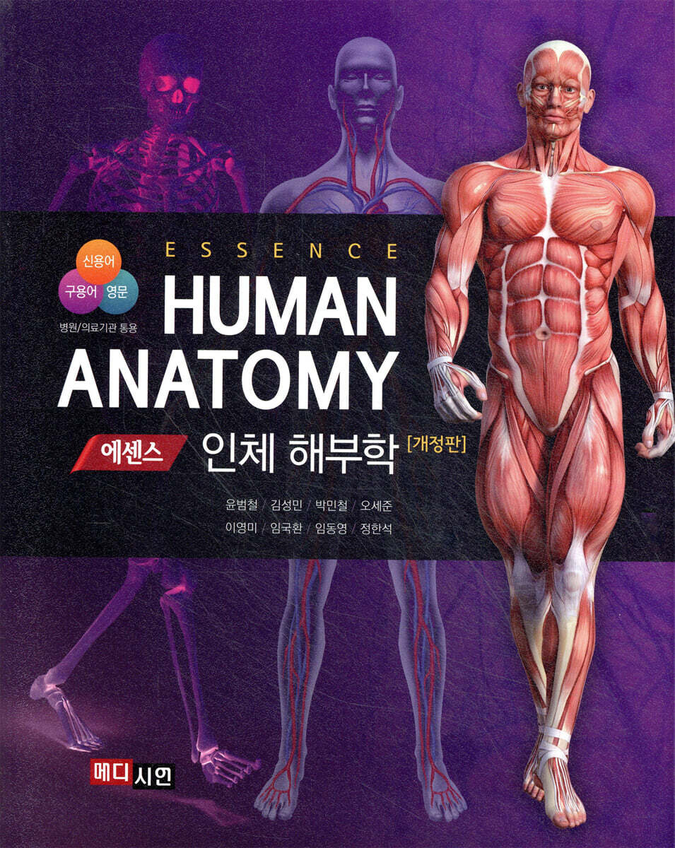에센스 인체해부학