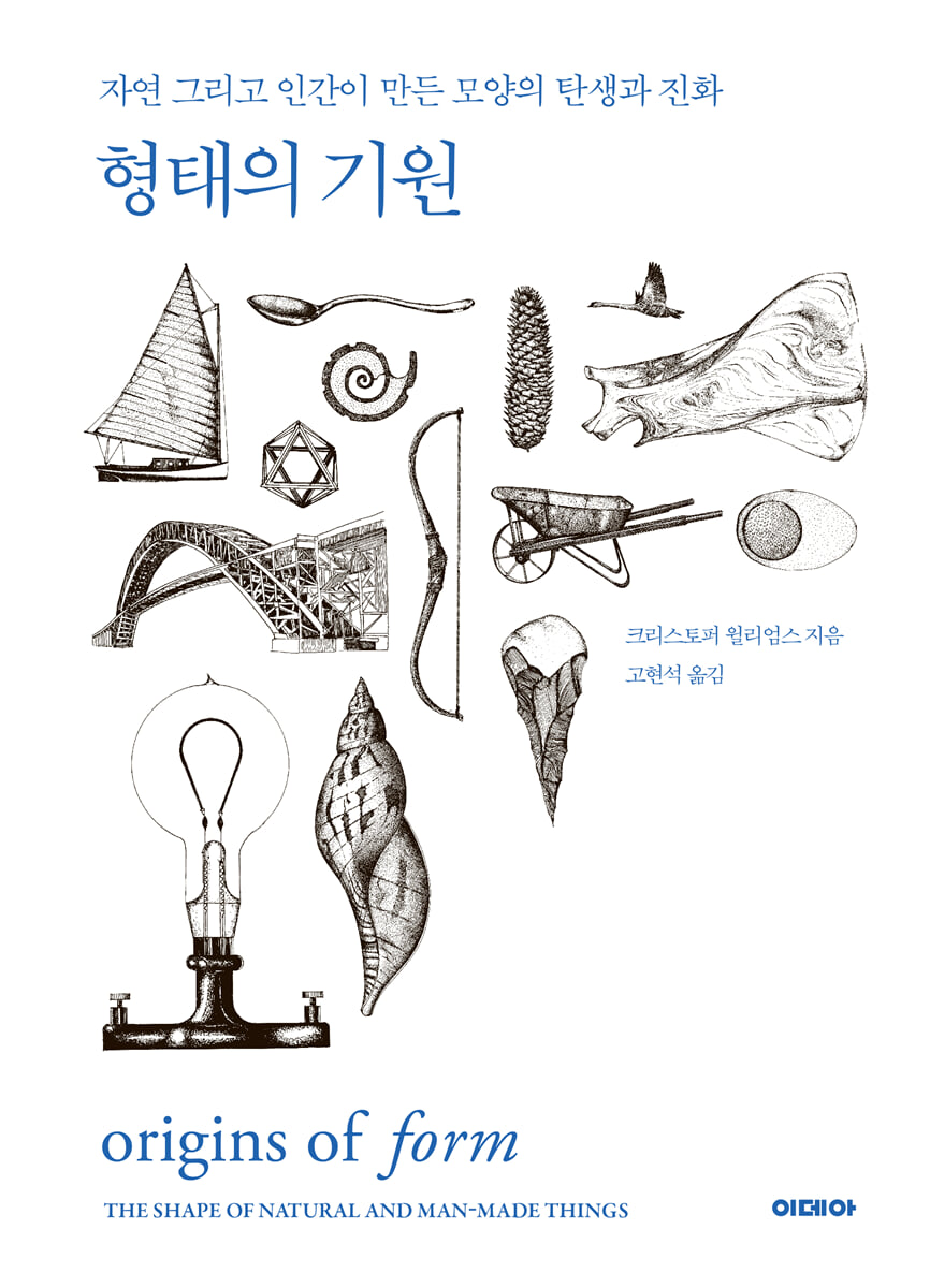 형태의 기원