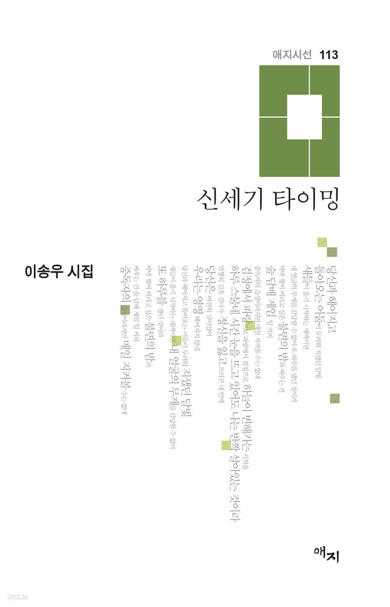 신세기 타이밍