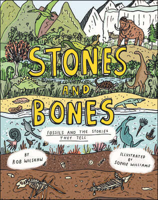 Stones and Bones: Fossils and the Stories They Tell
