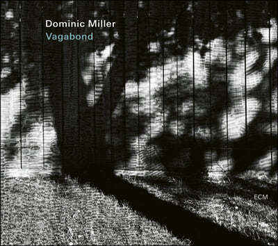 Dominic Miller (̴ з) - Vagabond