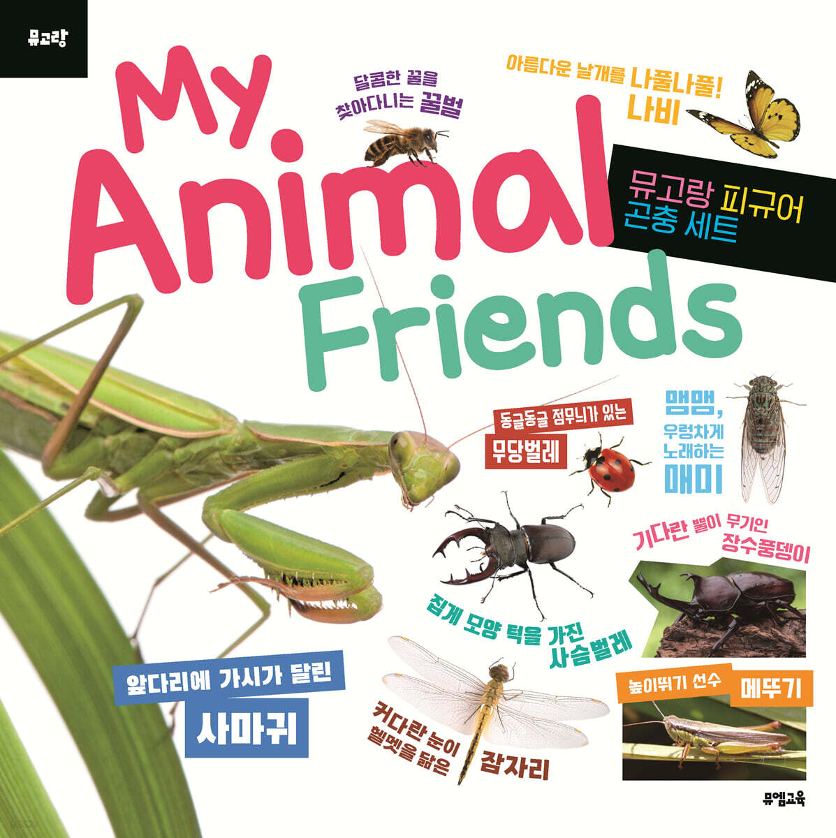 뮤고랑 My Animal Friends 곤충